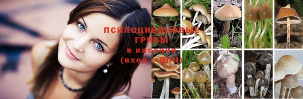 jwh Приозерск
