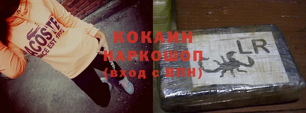 прущие грибы Пролетарск