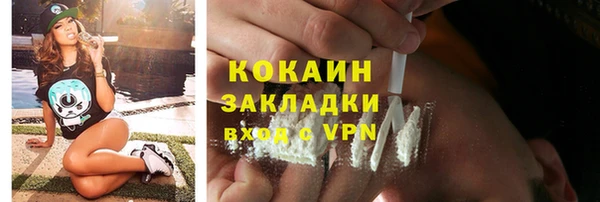 прущие грибы Пролетарск