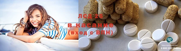 прущие грибы Пролетарск