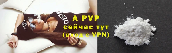 прущие грибы Пролетарск