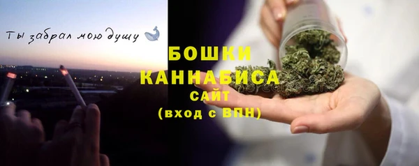 прущие грибы Пролетарск