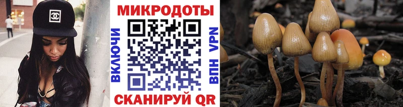 Псилоцибиновые грибы мицелий  kraken как войти  Светогорск 